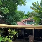 我是一个憨憨