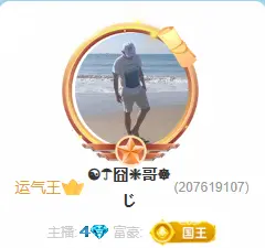 ☯☂KOLESX☸じ主播图片