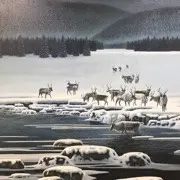 天蝎之旅