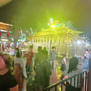 伞伞的白鹤