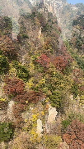 蜜密爱直播想升级💐的图片
