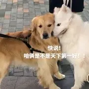 歌无嗯。