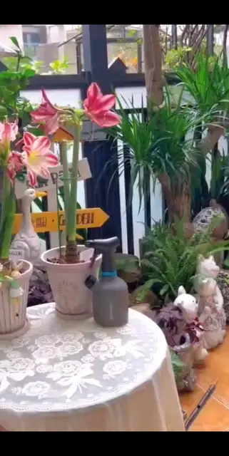 留下夏日最美的记忆