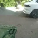 我是小哥哥4o