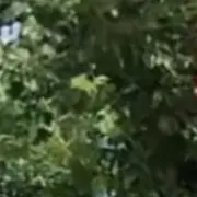 青春献给小酒桌了