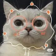 露宝@