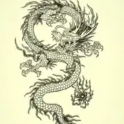 玲C家🌱小龙