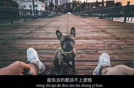 喜羊羊～56577的图片