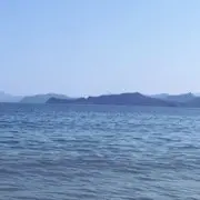 64567470