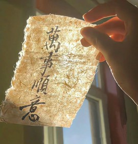 北家小黄黄🌈的图片