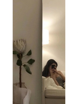 哆啦哆啦。。的图片