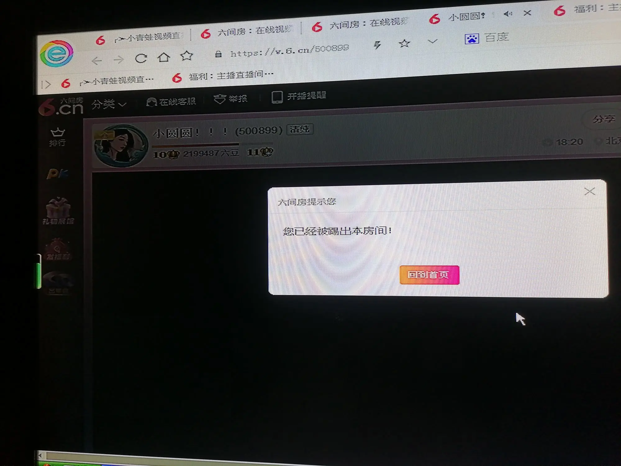 小逗逗！主播图片