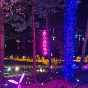 白发☞银沙