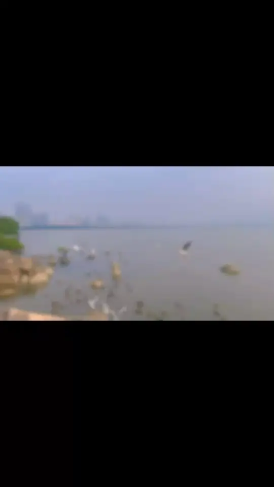 再美的风景，没有你陪伴都是灰色