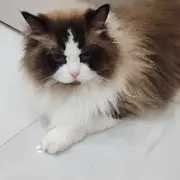 阳光…～