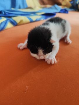 婷婷💕感恩有你陪伴的图片