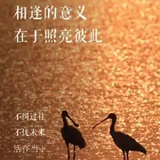 相遇~是缘