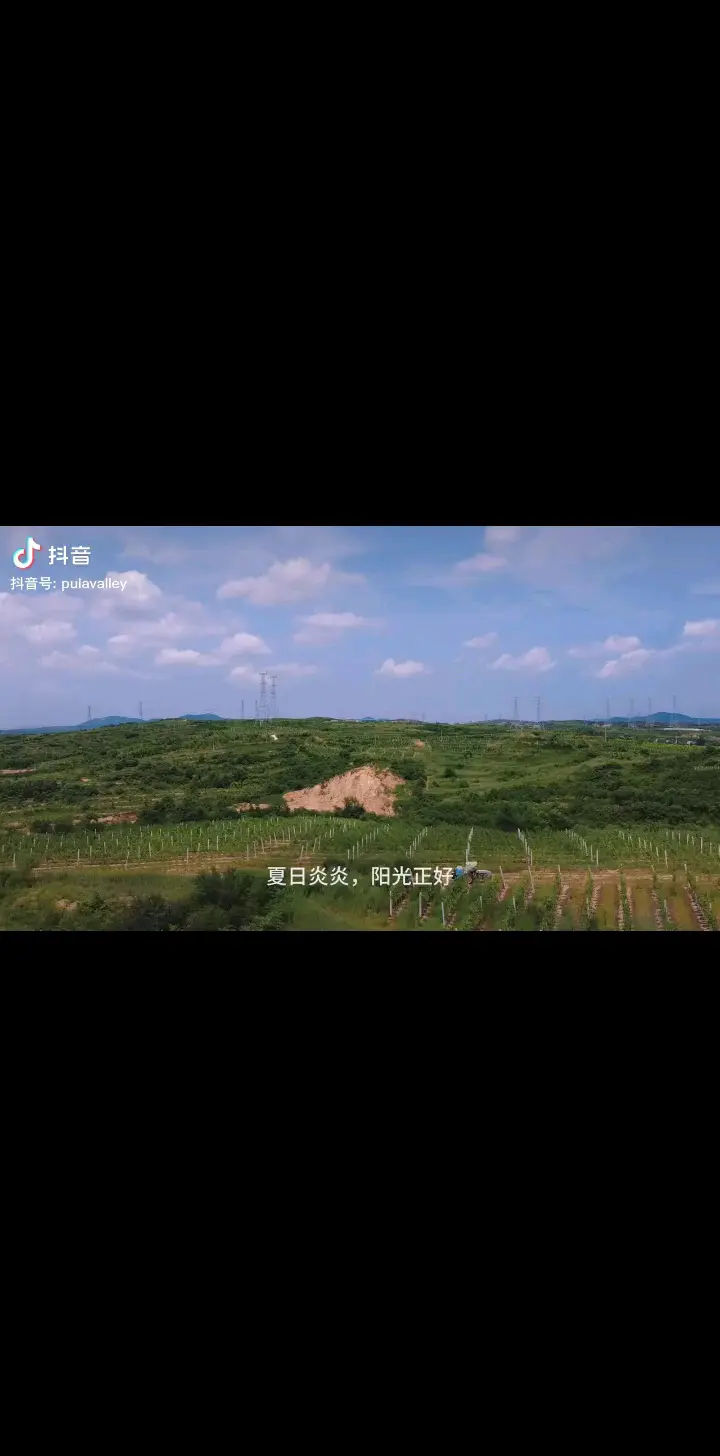 瀑拉谷酒时光