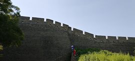 主动给的偏爱与施舍的图片