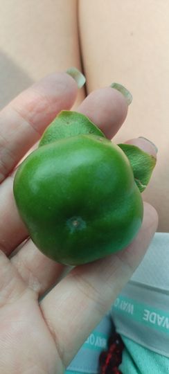 主动给的偏爱与施舍的图片