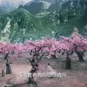💦雪狼💦7的用户头像