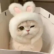 默默看戏地小游客的用户头像