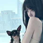 一只小柚柚休息中