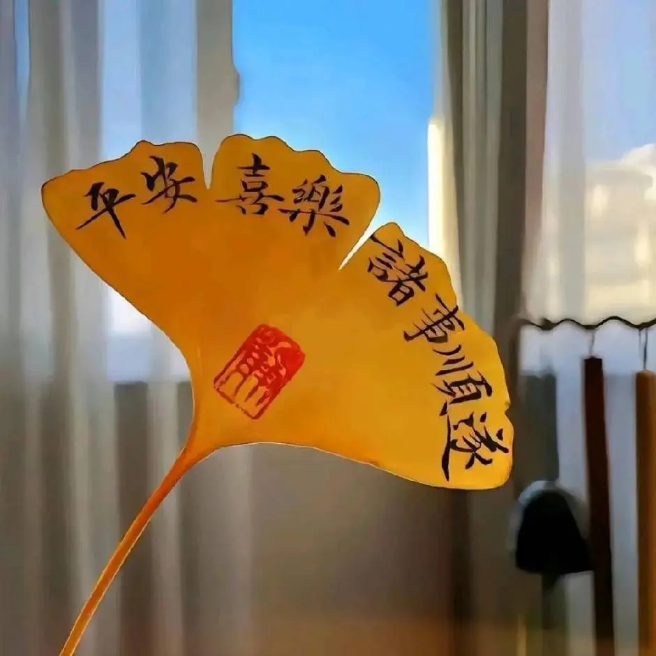 开心果~NO1的主播照片