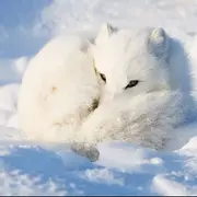 ღWo老头～～的用户头像