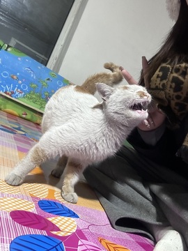 初雪🌞休息♨️的图片