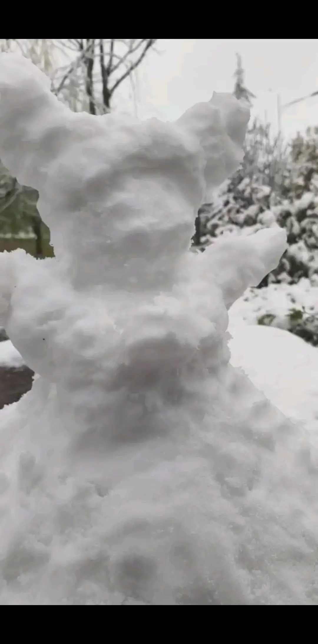 瑞雪兆丰年，对个美羊