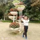 翰墨gh