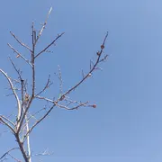 爱吃饼干的🐻