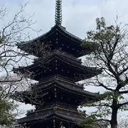萌新宝宝0uzIgJ