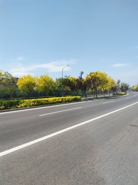 别致选择的图片