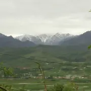 ღ天涯海角紫中仙~