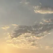 ✤兴奋的旺旺✤