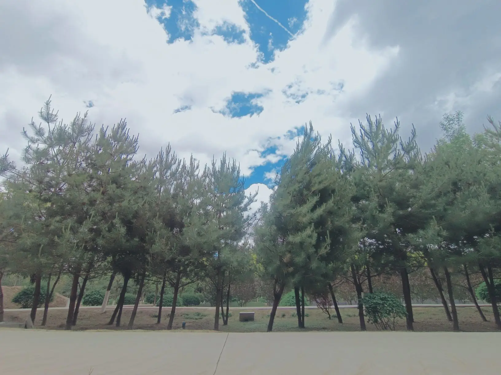 ゛✿洛洛✿的主播照片