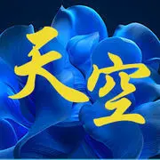 《天空》无求