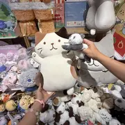 新人-念念