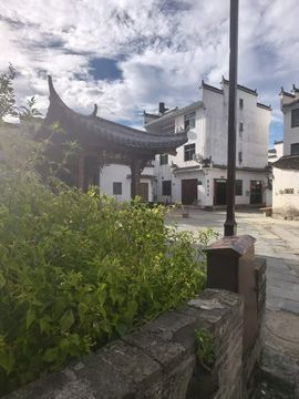 婷婷💕感恩有你陪伴的图片