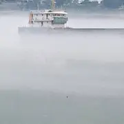 小奶尼专属男宠
