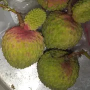 门前掛支箭背后弄一剑