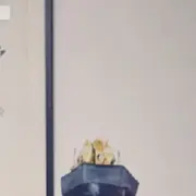 💰六六