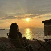 岚林儿的用户头像