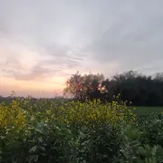 来自成都的刚哥哥的用户头像