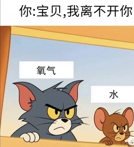 五月代理❀自动秒返的图片