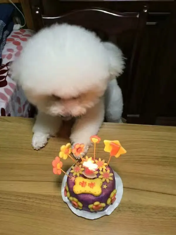 莫詺…的图片