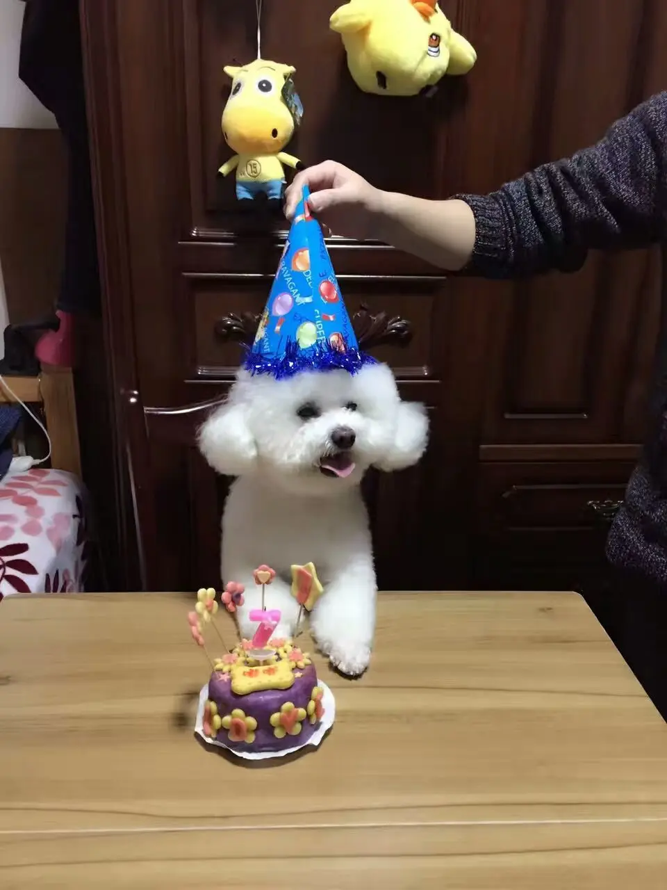 莫詺…的图片