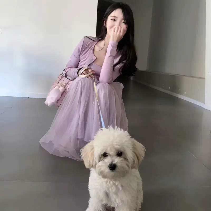 天才兔子小姐.幸运版